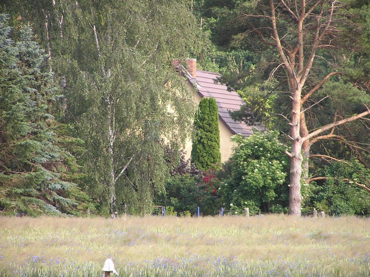 Peeneurlaub Lassan Exterior photo